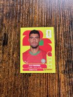 Panini FIFA World Cup 2026 Sticker Adam Masina United Editio