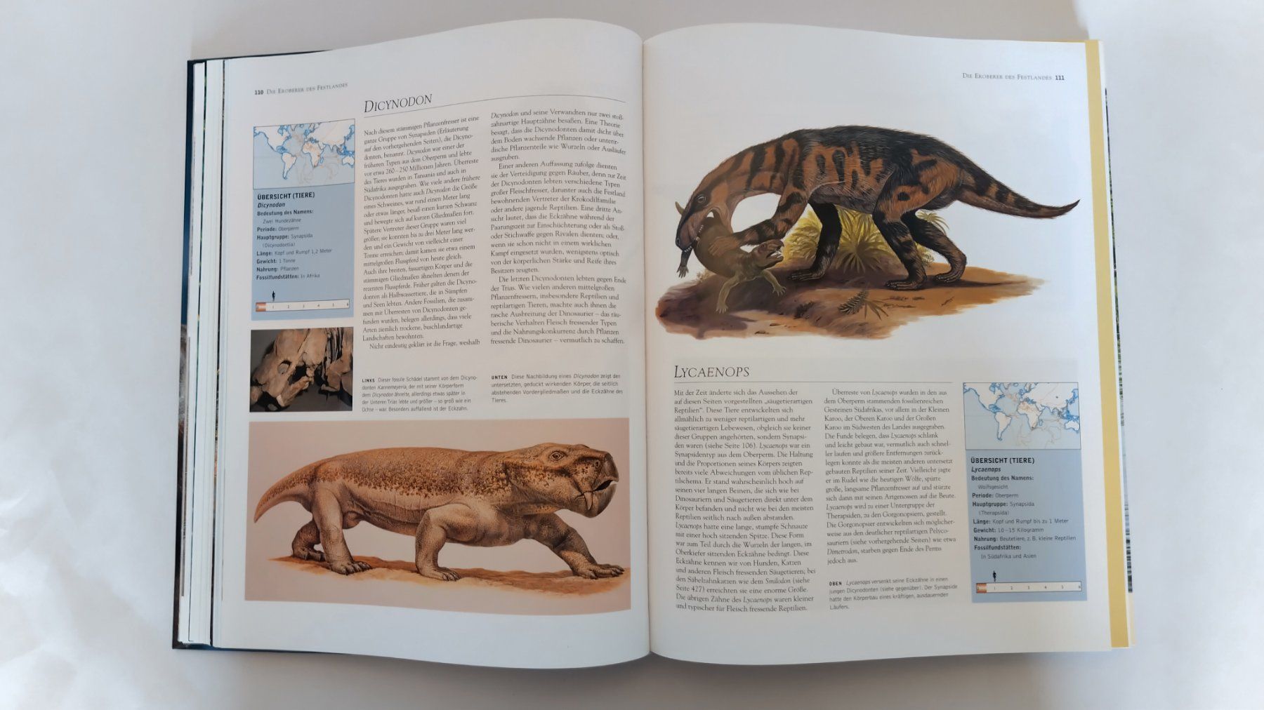 Libri: Dinosaurier / Buch 2004 mit 448 Seiten ab Fr. 14.- – Usato da Bellach venduto da JingleJerry 4