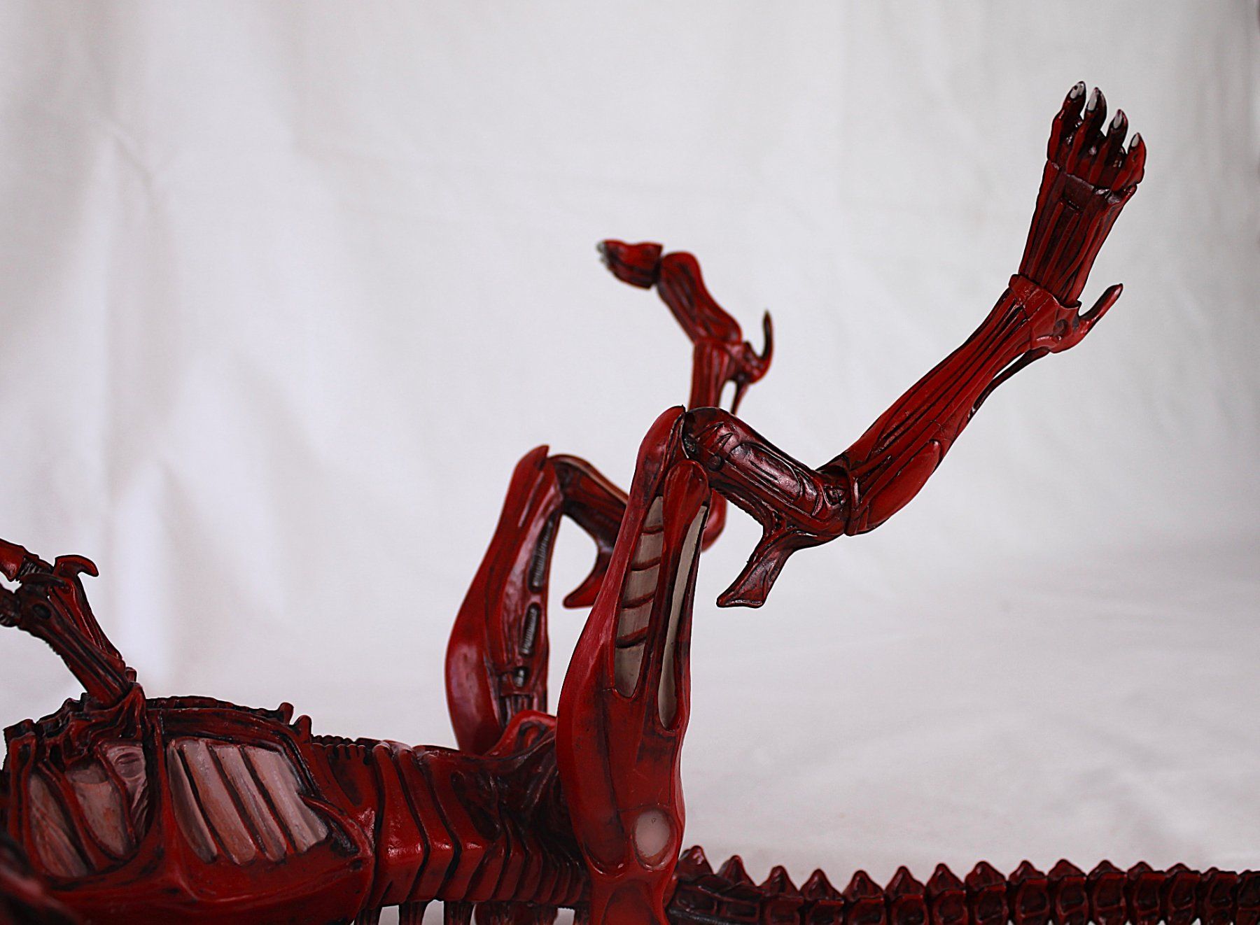 Neca Statuette: NECA Aliens Genocide -Red Queen Mother – Usato da Reinach BL venduto da bk_brockireinach 5