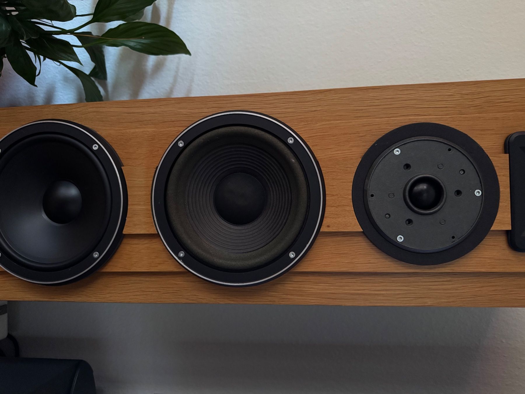 Casse acustiche: Electro-Voice Status 50 Lautsprecher gebraucht – Usato da Trimbach venduto da mej_njj9 1