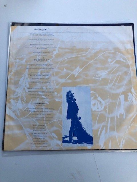 Dischi in vinile: Led Zeppelin – Usato da Aarwangen venduto da Jukebox3 4