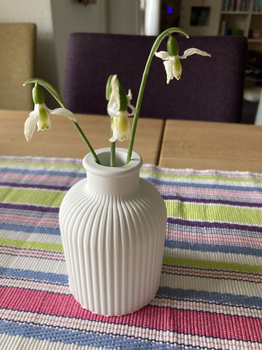 Vasi & Recipienti: Vase Deko in modernem Design weiss – Nuovo e nell'imballaggio originale da Uesslingen venduto da manu-ela41