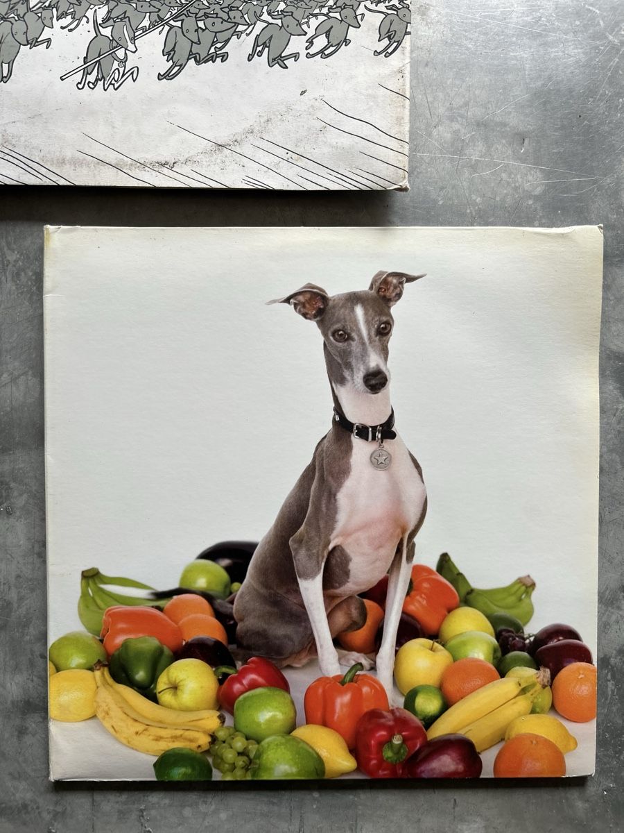 Dischi in vinile: Excellent Italian Greyhound - Shellac - LP - Math Rock – Usato da Winterthur venduto da lenolson 3