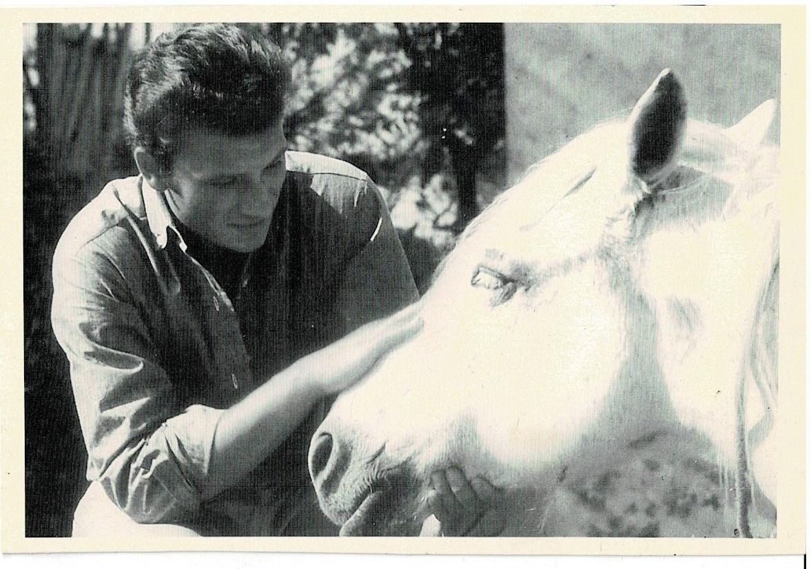 Cartoline postali: Johnny Hallyday - Carte postale – Usato da Noréaz venduto da Hallyday