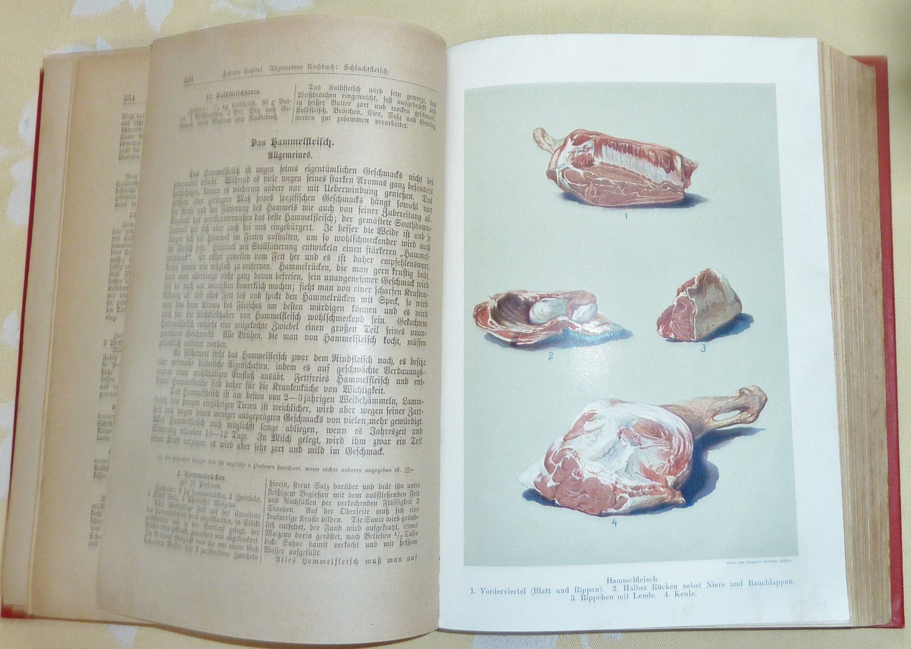 Libri: Buch "Küche und Keller" – Usato da Siebnen venduto da GluckPilz5684 4