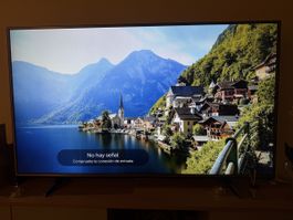 LG Television 65 inch with minor defect