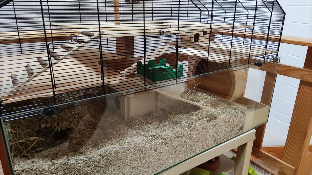 Nagerkäfig Lupo 120 - für Hamster, Rennmäuse (Gebraucht) in Elgg für ...