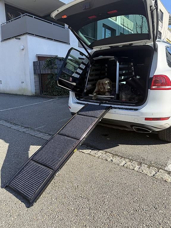 Gabbie, trasporto & Sicurezza: Vevor Faltbare Hunderampe Auto – Usato da Sevelen venduto da joh_p6xp