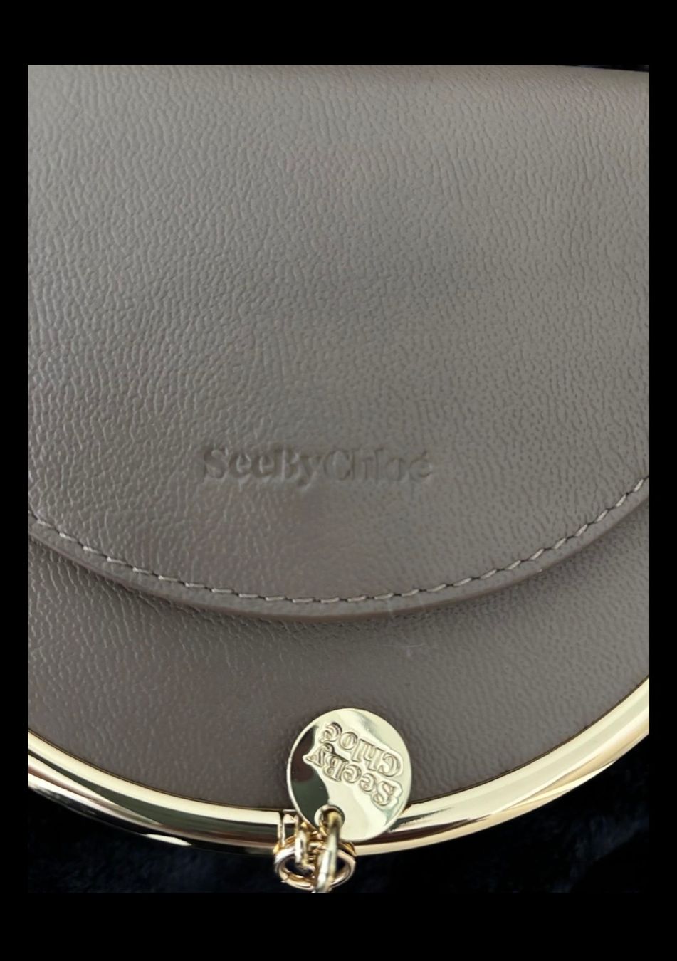 Taschen für Damen: See By Chloe Tasche – Gebraucht aus Ascona von Buisy81 6