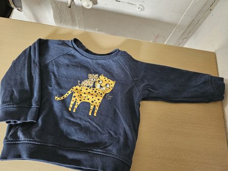 Pullover Grösse 80