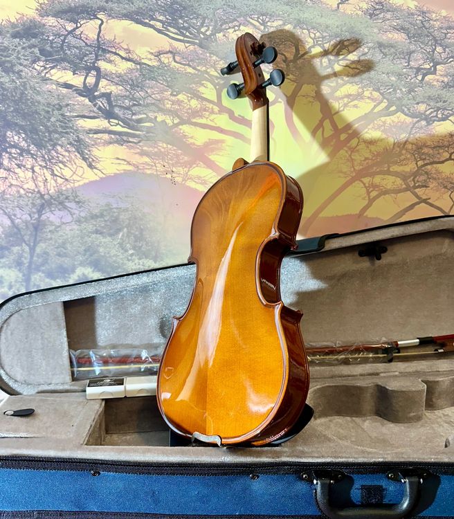 VEVOR Geige 4/4 Komplettset - Professionelle Massivholz-Geige Mit Koffer & Zubehör