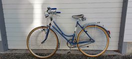3 gang Velo ab Service