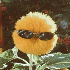 Profile image of MrNase