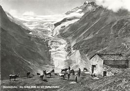 Berninabahn Alp Gruem Paluegletscher