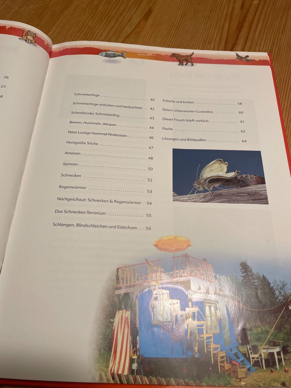 Libri: Kinder-Löwenzahn Kleine und grosse Tiere – Usato da Sent venduto da ManuelB07 3