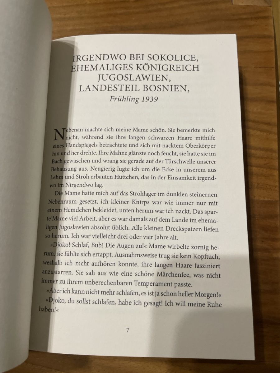 Libri: Das einzige Kind - Hera Lind – Usato da Winterthur venduto da cheerio97 5
