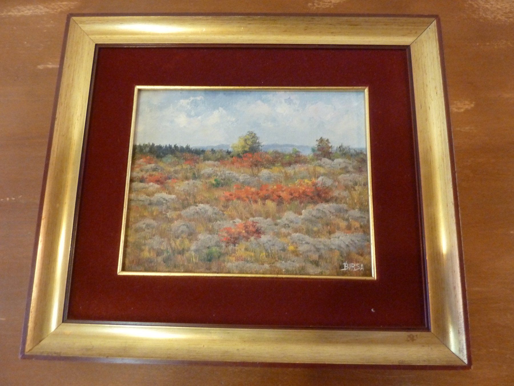 Tableaux: Gemälde von Birsa, Slowenien – D'occasion à Bure par 1319