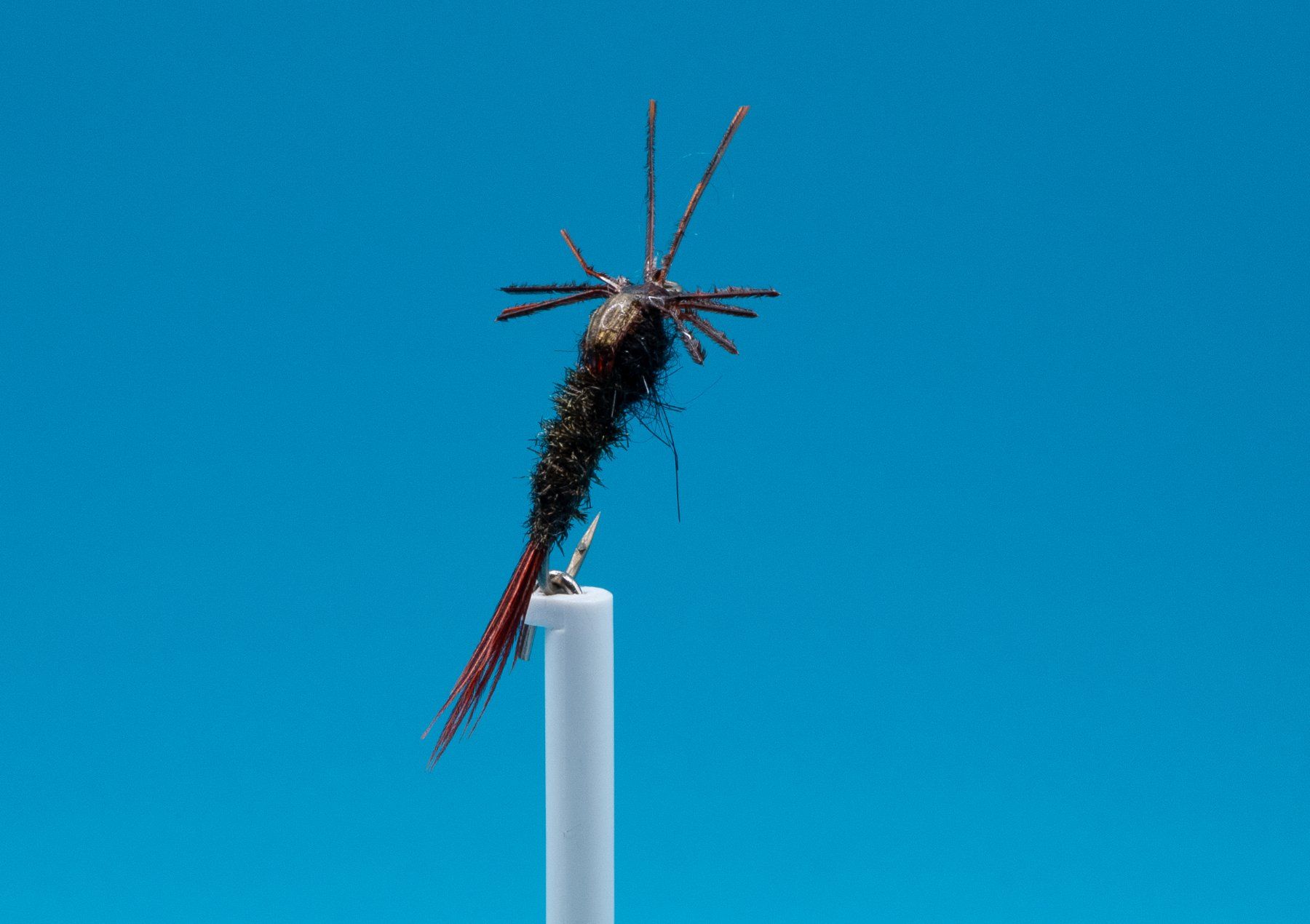 Köder: 5 verschiedene Nymph – Neu (gemäss Beschreibung) aus Grenchen von firefly2000 6