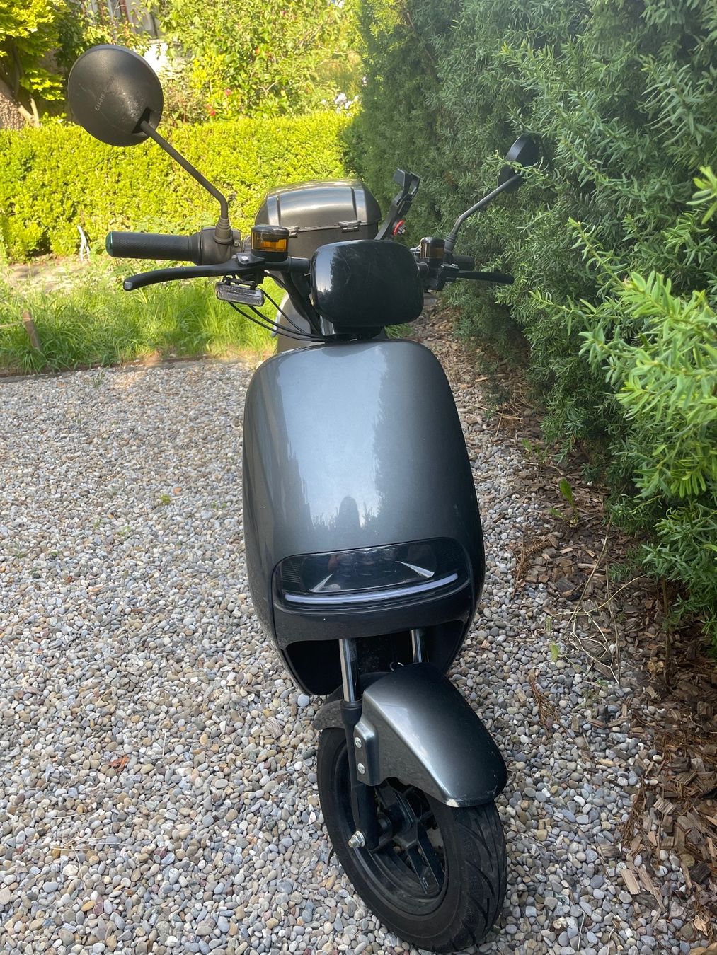 Scooters: E-Scooter/Mofa Forza City Go – Gebraucht aus Zürich von  1