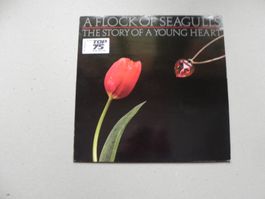 LP brit. Syntie Wave Pop Band A Flock of Seagulls 1984 Story