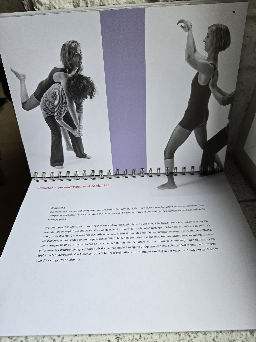 Libri: spiraldynamik; Tanz und Gymnastik – Usato da Montet (Broye) venduto da CandiceD 3
