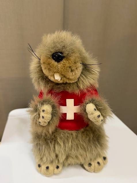 Giocattoli: Souvenir Schweizer Singendes Murmeltier - mit Soundfunktion – Usato da Zürich venduto da zai_wnt2