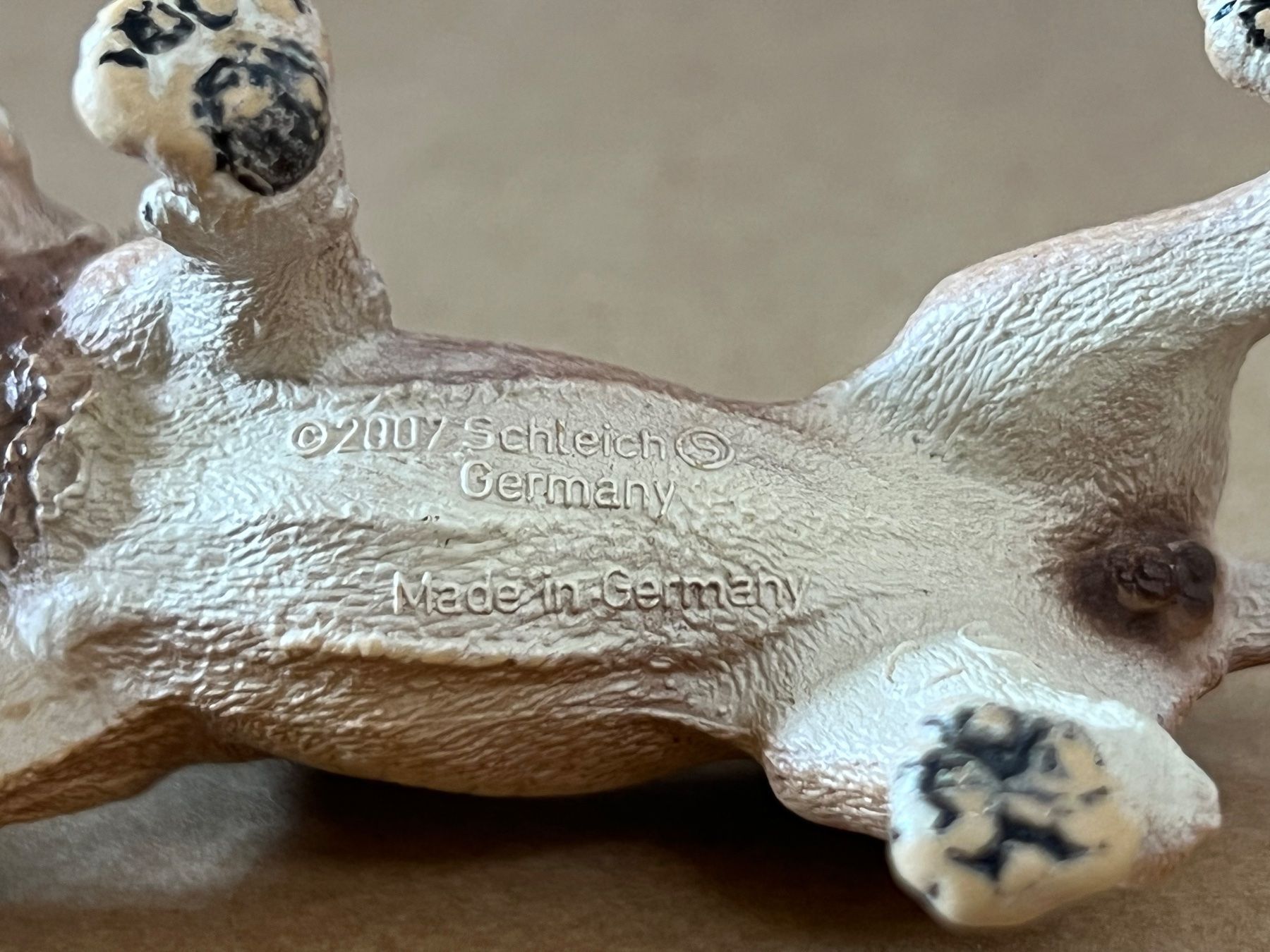 Schleich Statuette: Schleich 14374 Junglöwe Löwe – Nuovo (secondo la descrizione) da Ennetbaden venduto da mapa05 2