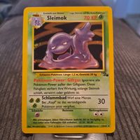 Sleimok Holo, Fossil 13/62