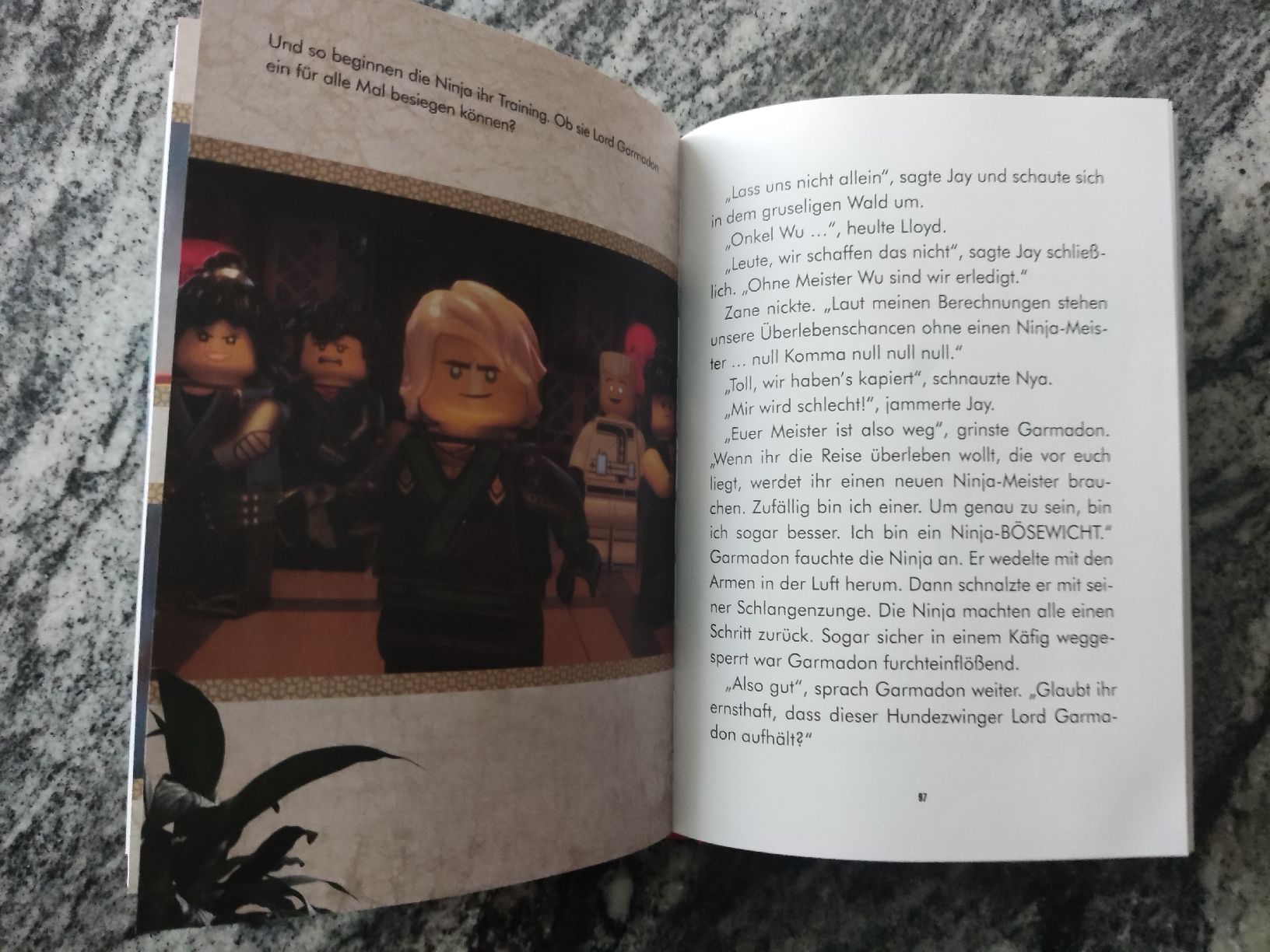 Bücher: Lego THE NINJAGO MOVIE – Gebraucht aus Chur von Nisami 4