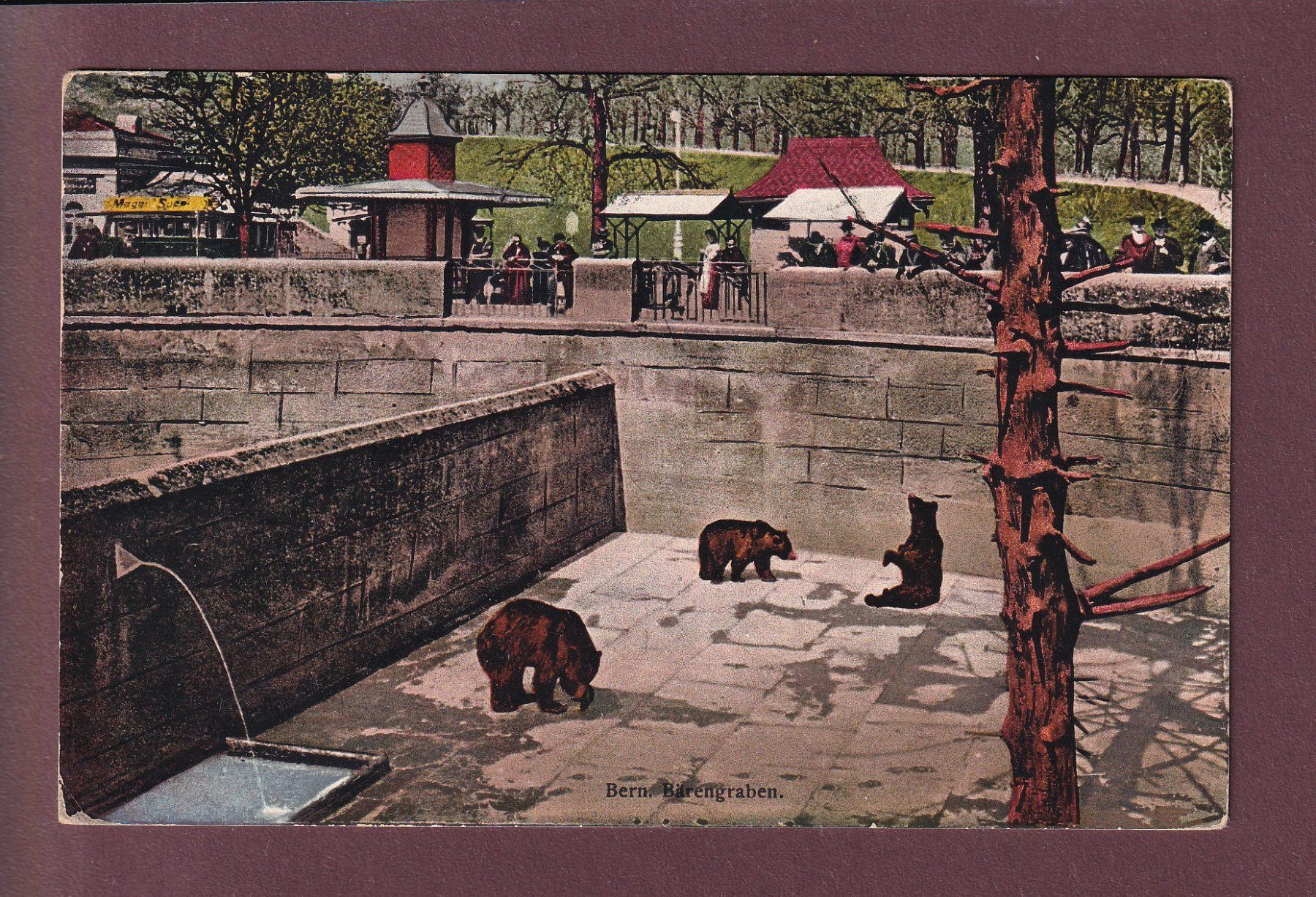 Cartoline postali: BERN - Bärengraben - 1919 – Usato da Pully venduto da nicecards