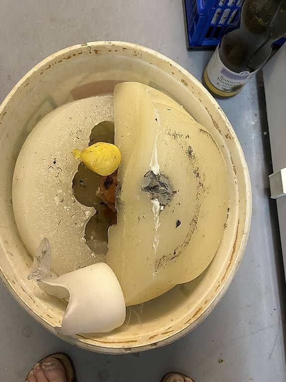 Candele: Kerzenwachs und Wachsresten – Usato da Diegten venduto da boelchenfluh 2