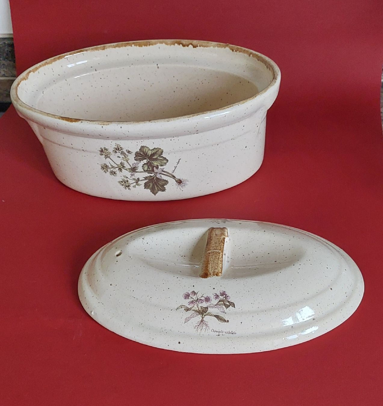 Elettrodomestici da cucina: Auflaufform mit Pflanzen bemalt. Mit Deckel. – Nuovo (secondo la descrizione) da Zizers venduto da Pinot55 5