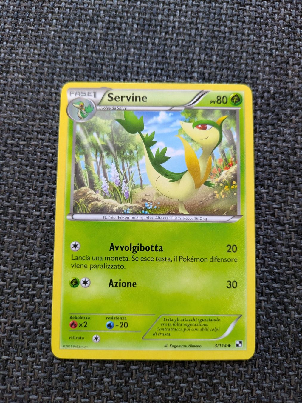 Pokémon Sammelbilder & Trading cards: SERVINE, BLACK & WHITE, BLW3, UNC, 2011, ITA, GD – Gebraucht aus Losone von AlpineLayer