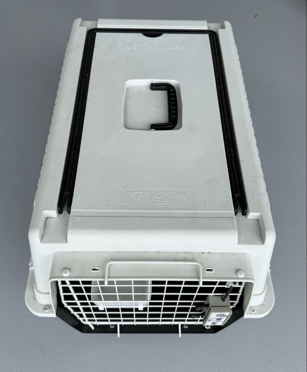 Cucce & Letti: Ferplast Atlas 40 Hundetransportbox – Usato da Oberrieden venduto da rroane2