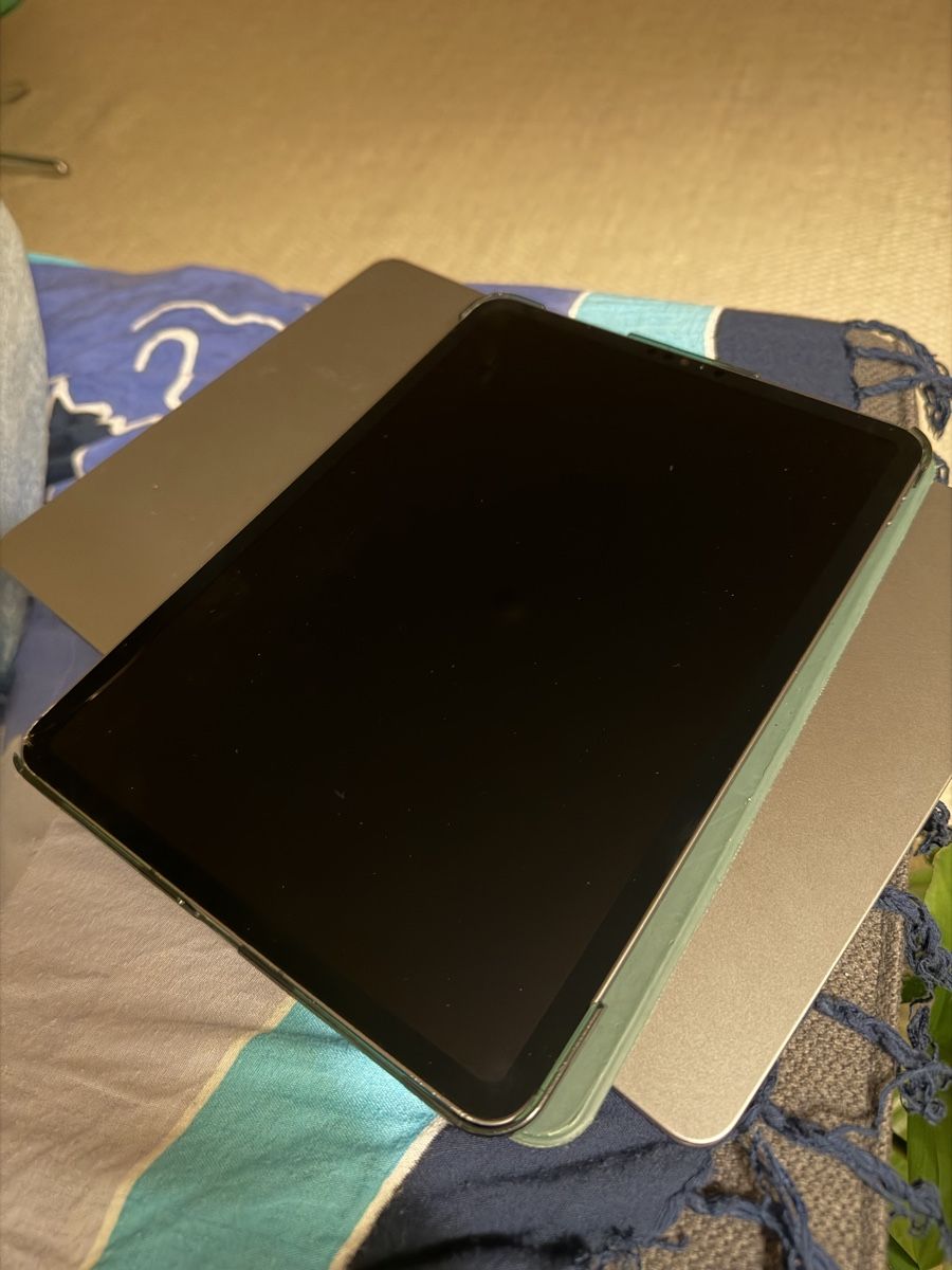 Apple Tablet PC: iPad Pro 3rd generation 11’ + Apple Pencil 2nd – Usato da Zürich venduto da van_82hj 5