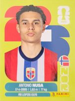 Panini FIFA World Cup NOR 19