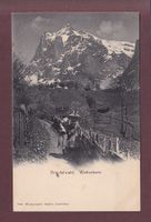 GRINDELWALD - Kinder - Wetterhorn - 1903