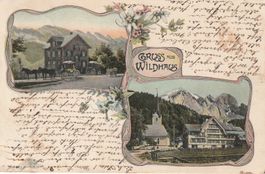 AK Gruss aus Wildhaus Litho 1904