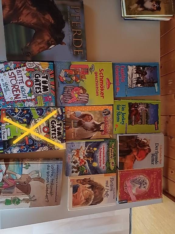 Livres: Diverse Bücher  – D'occasion à Ballwil par Karinjuon 2