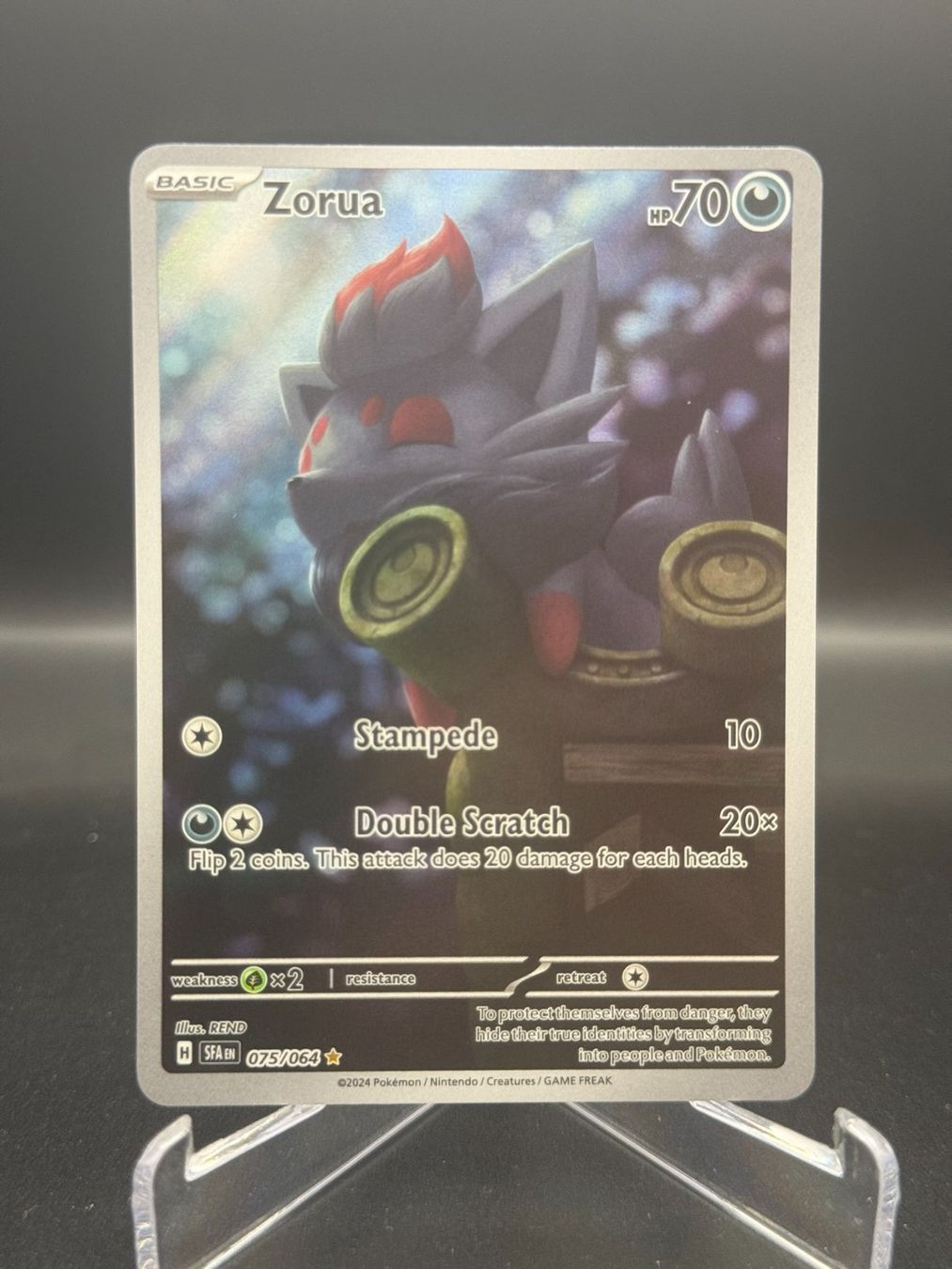 Pokémon Carte collezionabili: Zorua (SFA 075) – Usato da Birmensdorf ZH venduto da SnorlaxMail