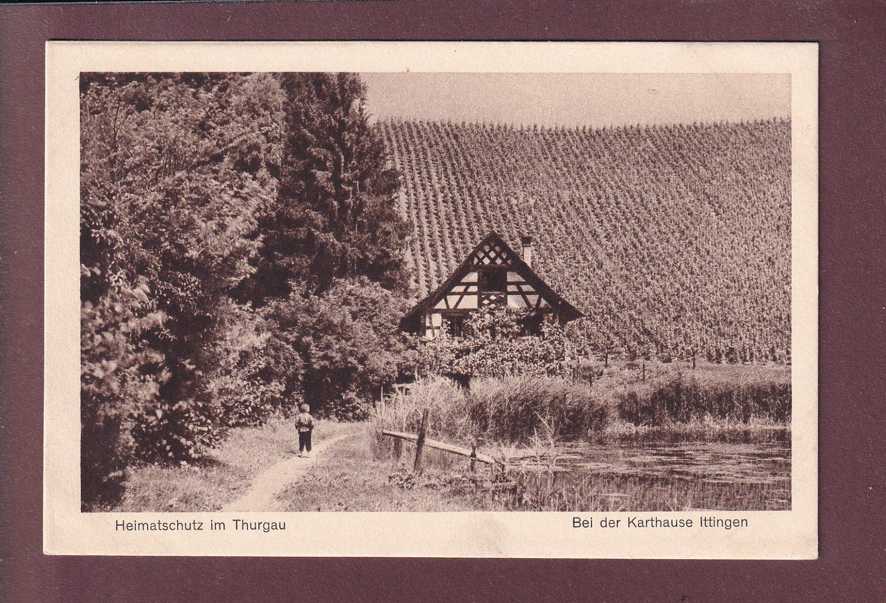 Cartoline postali: Thurgau - Bei der Karthause ITTINGEN – Usato da Pully venduto da nicecards