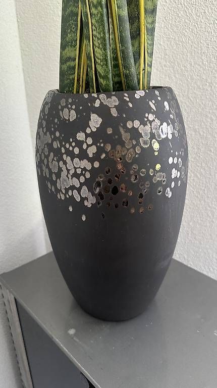 Vasi per fiori: Wunderschöner Blumentopf mit Bepflanzung – Usato da Gossau SG venduto da ReRaGa 4