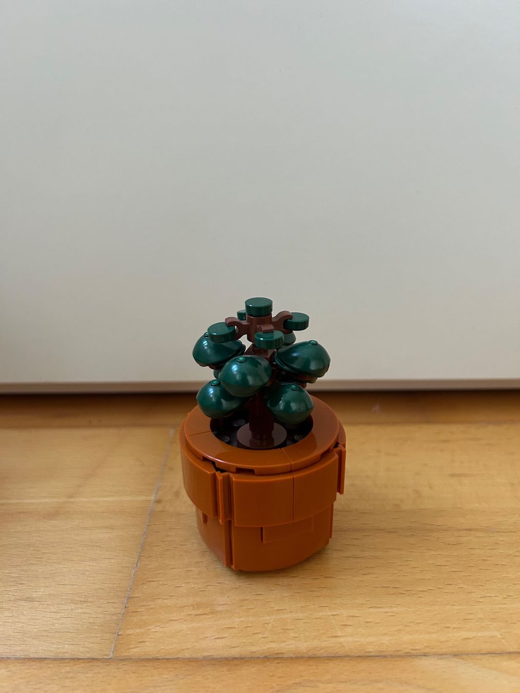 Lego Giocattoli: Lego Kakteen – Usato da Solothurn venduto da ann_s7vc 3