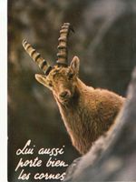 Animaux Humoristiques (8), um 1970