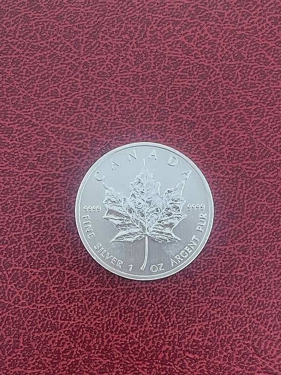 Tutti le monete: 1 Unze Silbermünze Canada Maple Leaf 2013 1 Oz Silber – Usato da Reinach BL venduto da present4you