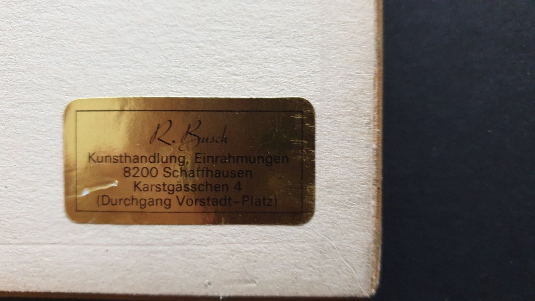 Incisioni: Bern. Von Mayer. Rahmen über Eck vergoldet. – Usato da Goldach venduto da armando_r 6