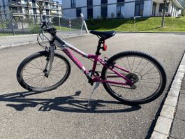 24 Zoll Crosswave Bike in silber/pink