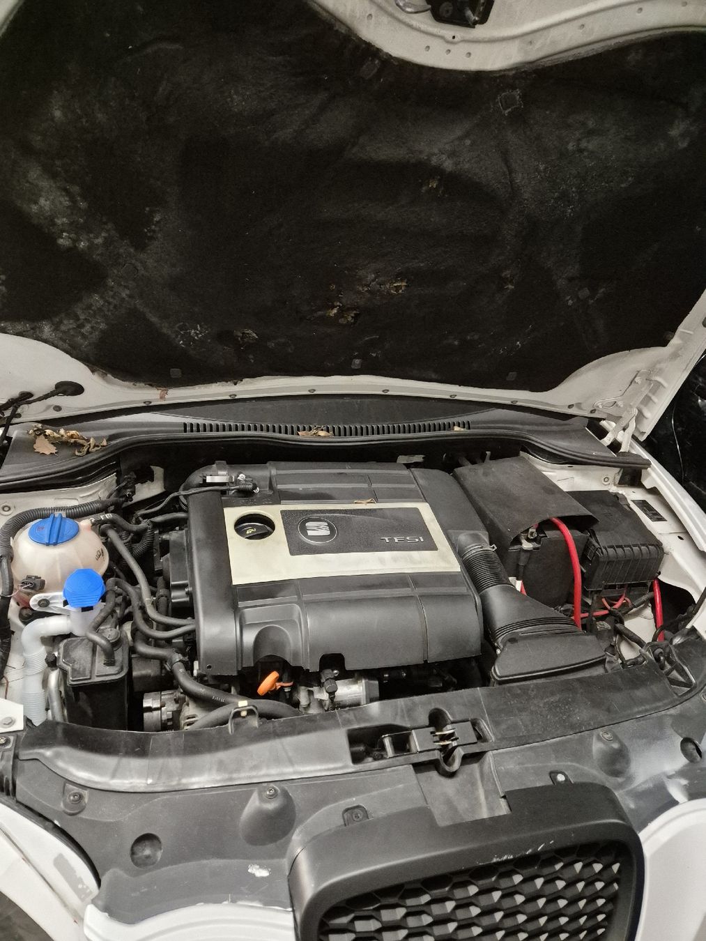 Seat Automobili: Seat leon 2.0fr tfsi – Usato da Madiswil venduto da flu_5ly2 7
