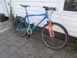 Mountainbike Cougan Revenge Easton Rahmen gebraucht