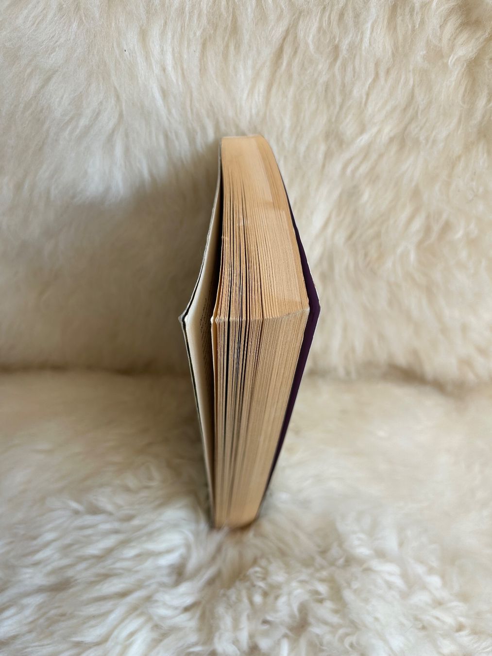 Libri: Zeit im Wind - Nicholas Sparks – Usato da Roggwil BE venduto da Jessica085 2